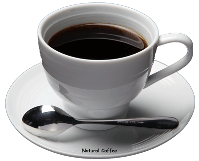 コーヒー豆通販 ナチュラルコーヒー 厳選 オーガニック栽培